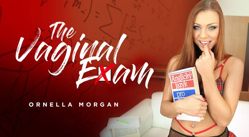 The Vaginal Exam - VR Porn Video - Morgan Rodriguez